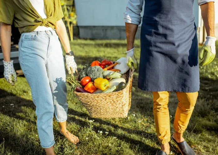 A basket overflowing with freshly harvested vegetables